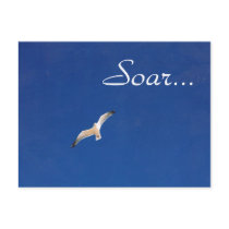 Soar Postcards