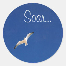 Soar Sticker