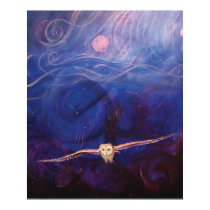 Soar Through Darkness posters
