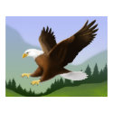 Soaring American Bald Eagle posters