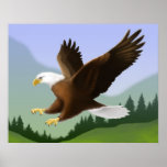 Soaring American Bald Eagle posters