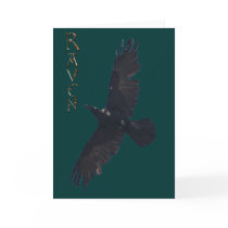 Soaring Black Raven Greeting or Note Card