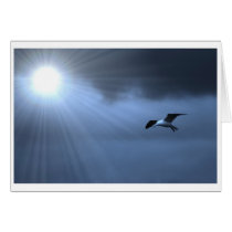 Soaring cards by ve1mos Soaring cards