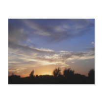 Soaring Clouds At Sunset Postcard by Poetlady Soaring Clouds At Sunset Postcard