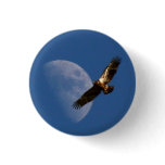 Soaring Eagle Button