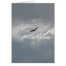 Soaring Eagle Card