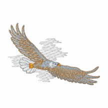 Soaring Eagle Hoodie