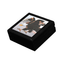 Soaring Eagle Gift Boxes