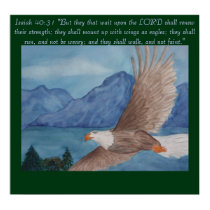 Soaring eagle posters