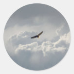 Soaring Eagle Round Stickers
