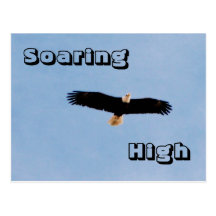 Soaring High Post Cards