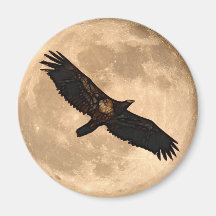 Soaring Juvenile EAGLE & MOON Wildlife Art Magnet