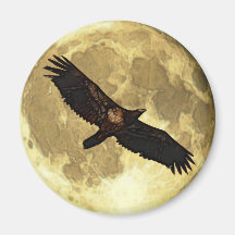 Soaring Juvenile EAGLE & MOON Wildlife Art Magnet