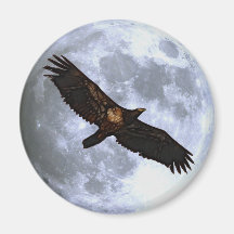 Soaring Juvenile EAGLE & MOON Wildlife Art Magnet