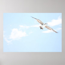 Soaring Poster