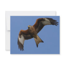 Soaring Red Kite Custom Invitation