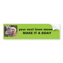 soay ram, your next lawn mower:  MAKE IT A SOAY bumper stickers