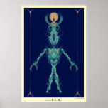 sobek posters