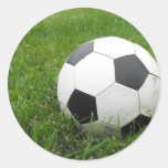 Soccer Ball in Grass Round Stickers