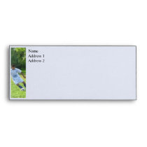 Soccer Ball in Play envelopes