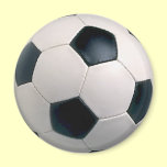 Soccer Ball Magnet