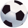 Soccer Ball Photo Sculpture