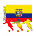 Soccer Ecuador t-shirts