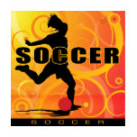 soccer-girls3 t-shirt