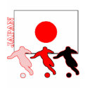 Soccer Japan shirt