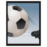 soccer-kick flyer