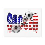 Soccer Logo Shoot flag of the USA Goal Gear Postcard