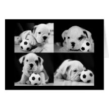 "Soccer Puppies" English Bulldog Collage Greeting Cards