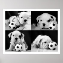 "Soccer Puppies" English Bulldog Collage Posters