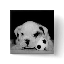 "Soccer Puppy" English Bulldog Square Pinback Button