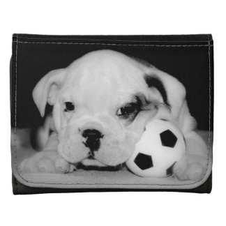 coach wallets puppy