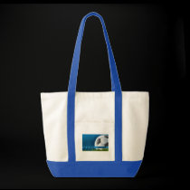 Soccer - Rain or Shine bags
