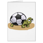 Soccer Turtle