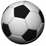 soccerPhotosculpture Photo Cut Outs