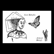 Social Butterflies posters