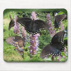 Social Butterfly ~ mousepad mousepad