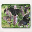Social Butterfly ~ mousepad