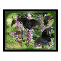 Social Butterfly ~ print