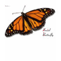 Social Butterfly t-shirts