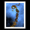 Social climbing - Echelle sociale