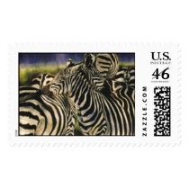 "Social Hour" postage by paintonmypaws "Social Hour" postage