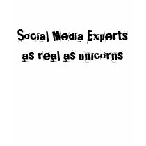 Social Media Experts as real as unicorns t-shirts