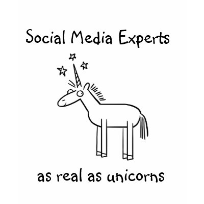 Expertos en medios sociales tshirts por luckychristi
