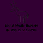 Social Media Unicorns