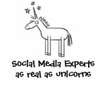 Social Media Unicorns
