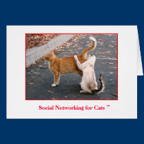 Social Networking for Cats Blank inside cards
